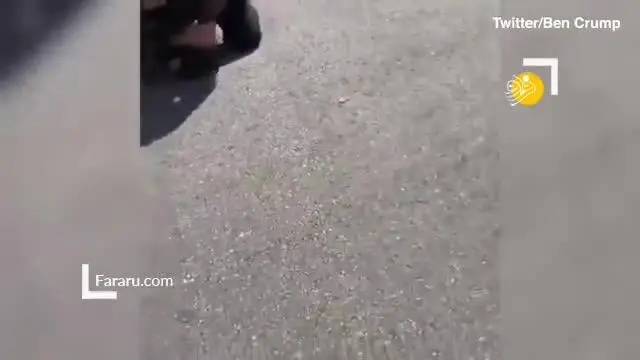 (ویدئو) جنجال جدید؛ مشت‌زنی پلیس آمریکا به مرد سیاهپوست