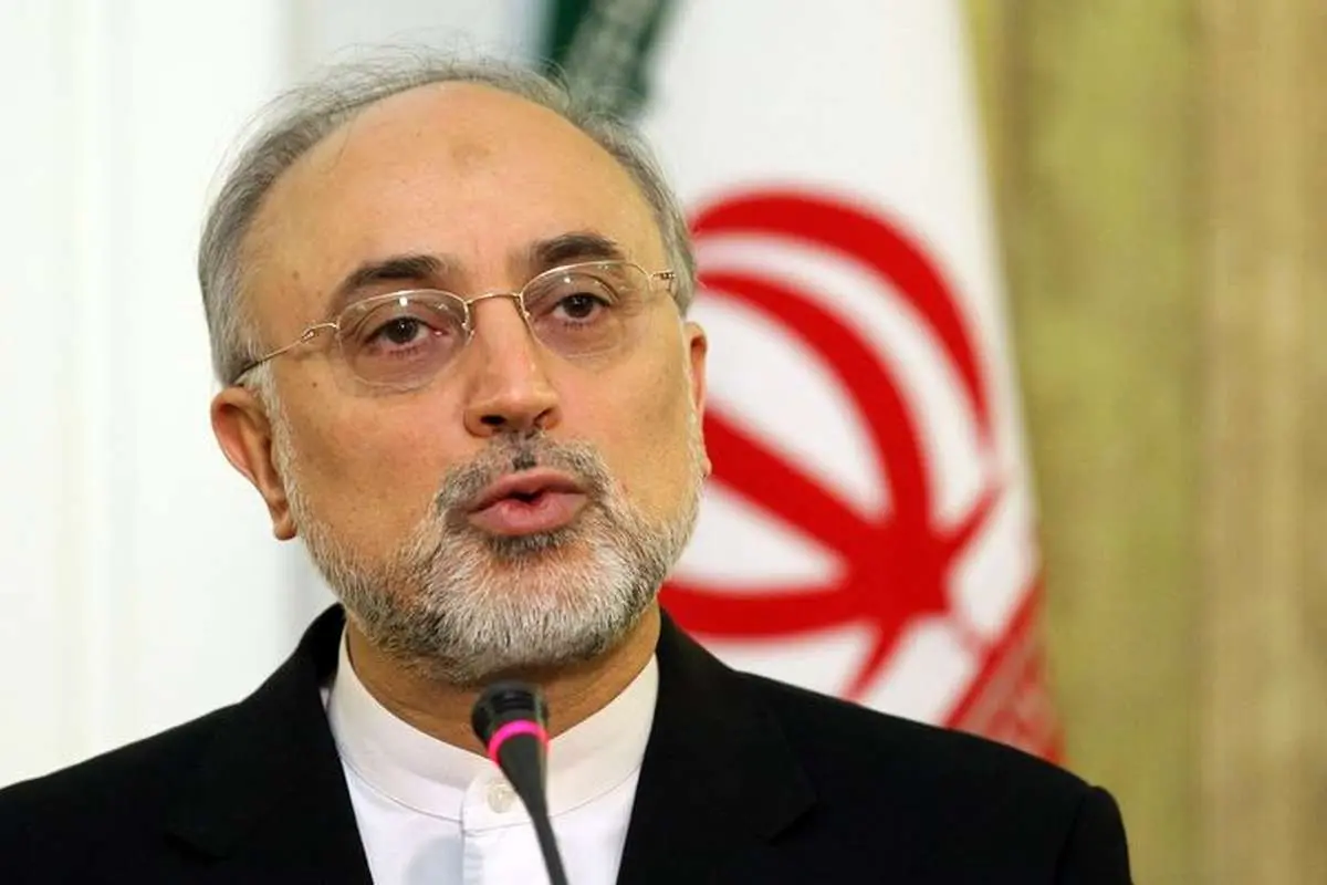 صالحی: چالش ایران و آژانس با تدبیر بزرگان نظام حل شد