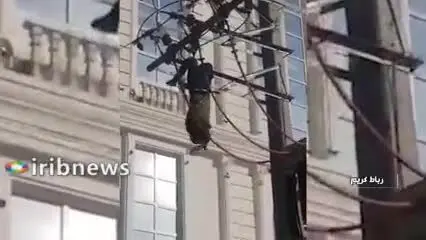 ویدئوی دلخراش از خشک شدن دزد کابل برق در تهران