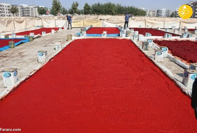 (تصاویر) تهیه سس فلفل قرمز ترکیه ای