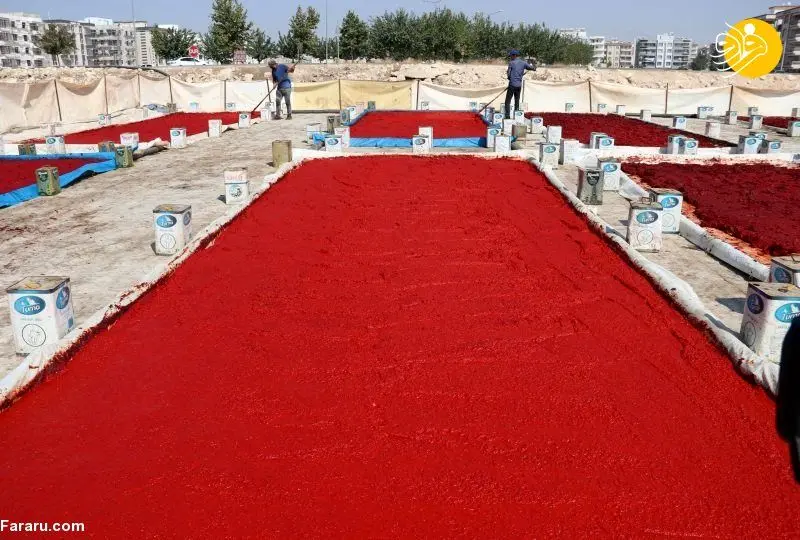 (تصاویر) تهیه سس فلفل قرمز ترکیه ای