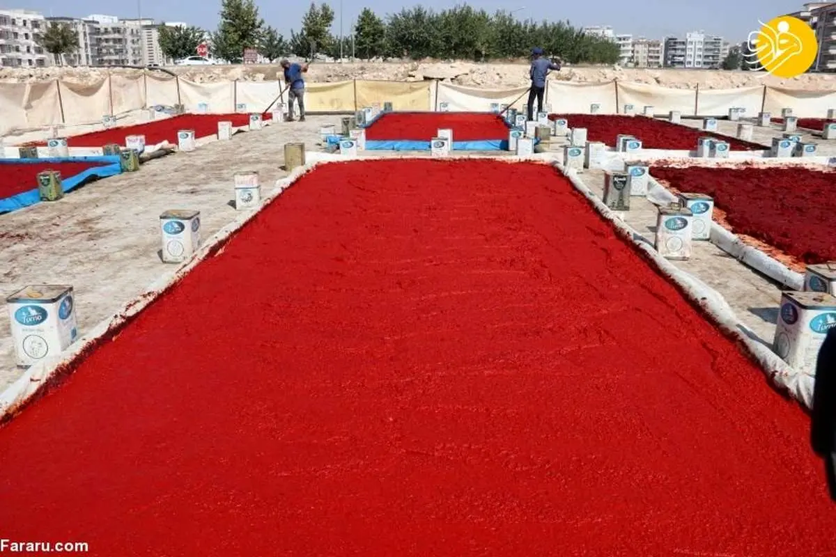 (تصاویر) تهیه سس فلفل قرمز ترکیه ای