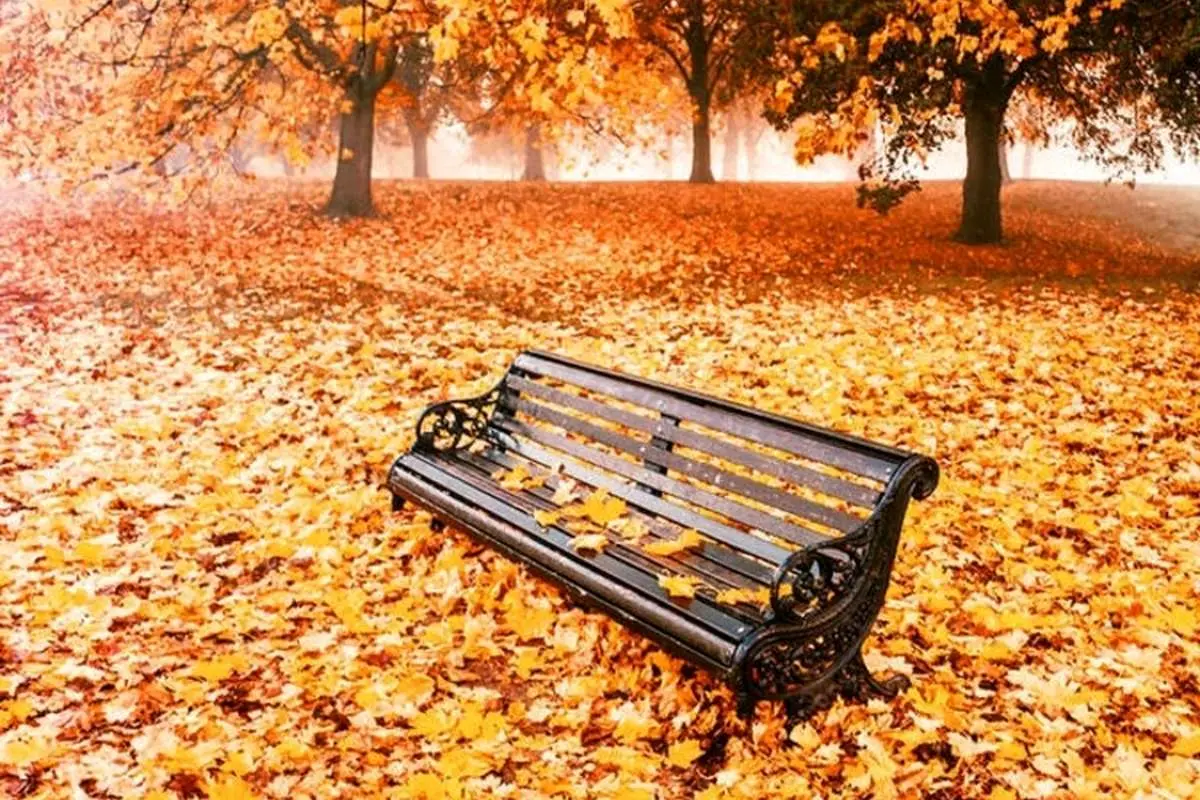 جملات احساسی و عاشقانه خاصِ پاییز، جملات خاص و متن بارانی و عاشقانه