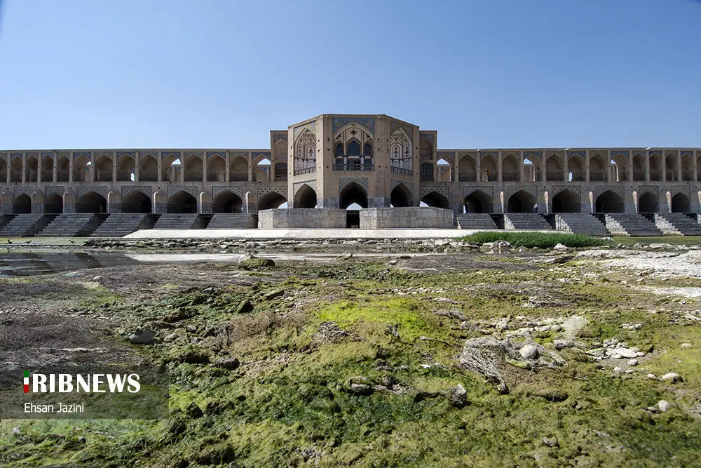 (تصاویر) مرگ ماهی‌ها در زاینده رود