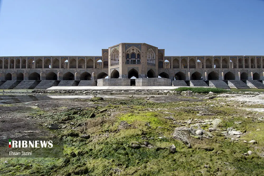 (تصاویر) مرگ ماهی‌ها در زاینده رود