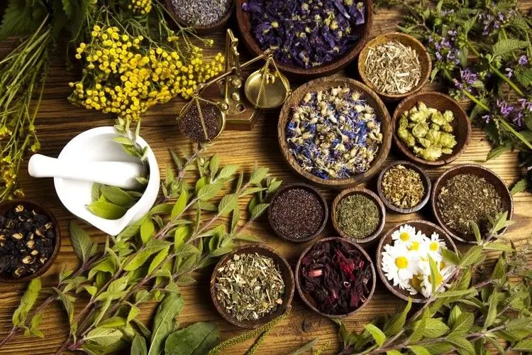 با مصرف این گیاهان دارویی، به سلامت از پاییز گذر کنید!