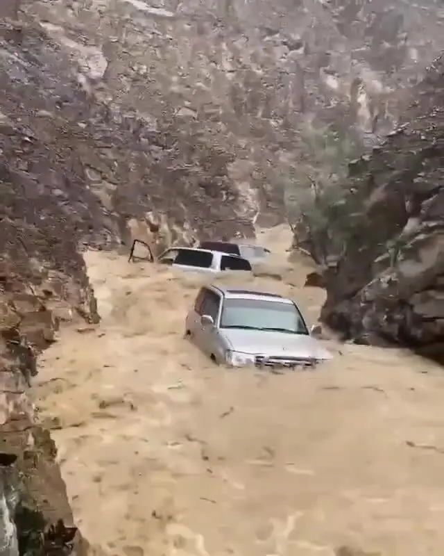(ویدئو) سیل در امارات خودروها را با خود برد