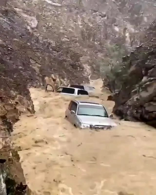 (ویدئو) سیل در امارات خودروها را با خود برد