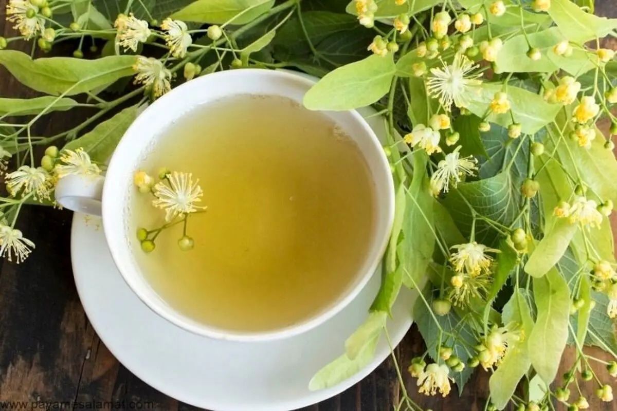 خواص و فواید چای لیندن / سم زدا و کاهنده فشار خون و ...