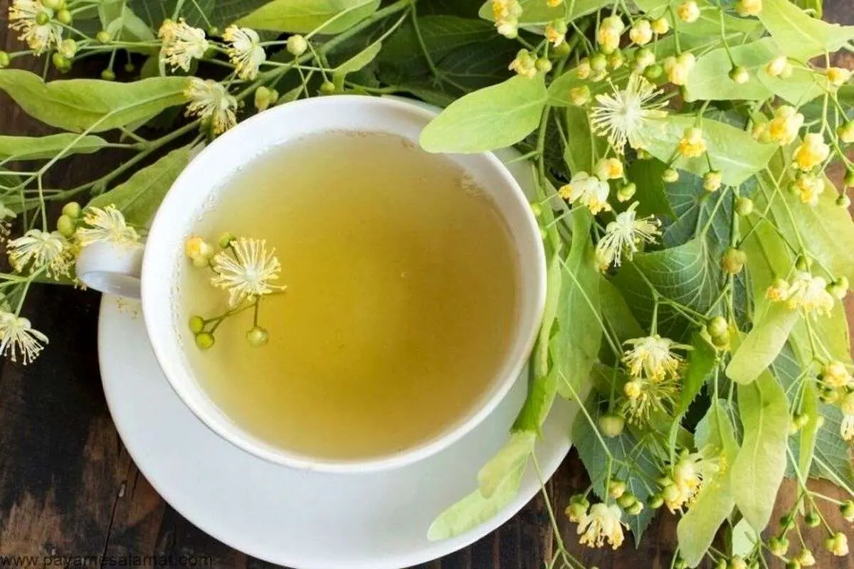 خواص و فواید چای لیندن / سم زدا و کاهنده فشار خون و ...