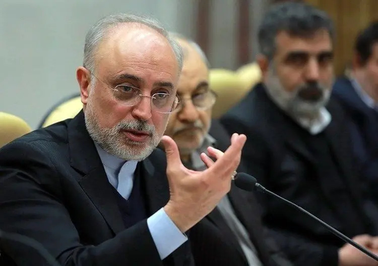 صالحی: آژانس درخواست دیگری برای بازرسی ندارد