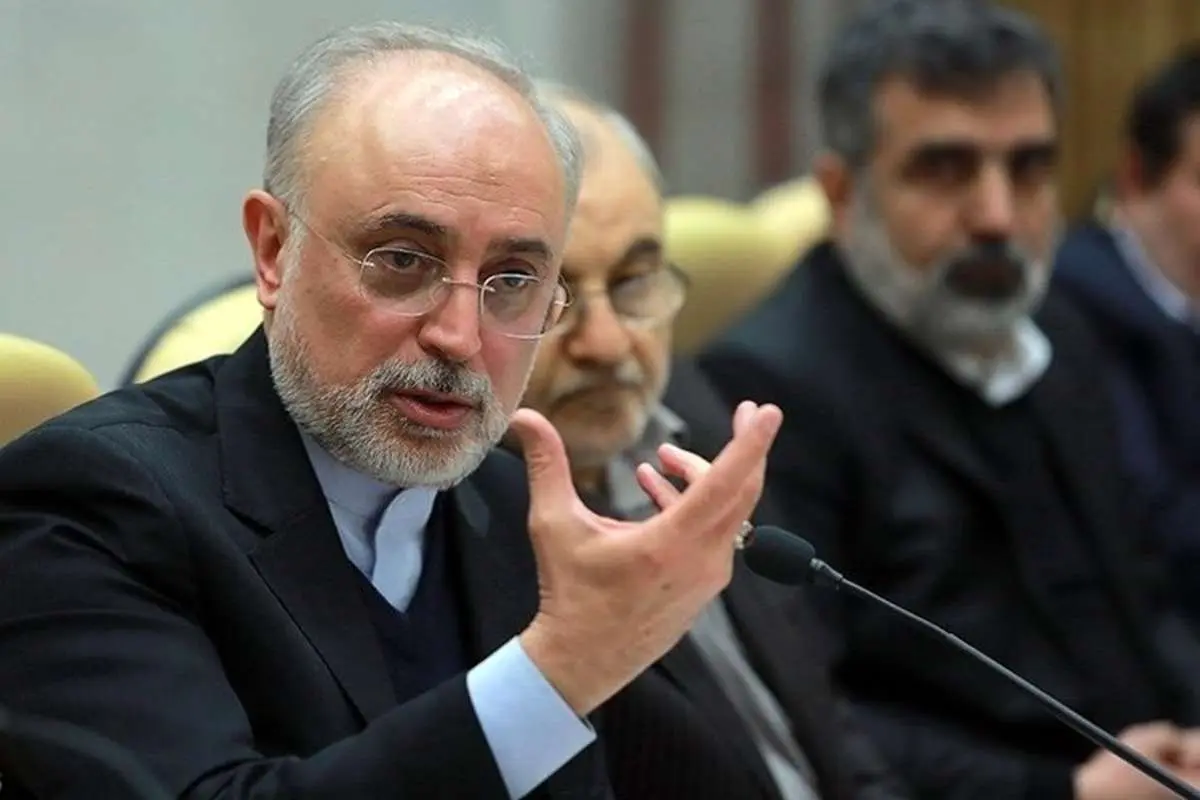 صالحی: آژانس درخواست دیگری برای بازرسی ندارد
