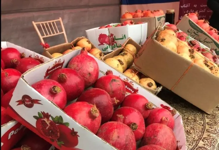 یک بشکه آبمیوه انار ۱۵ برابر نفت ارزآوری دارد!