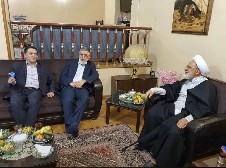 (عکس) دیدار کرباسچی با کروبی