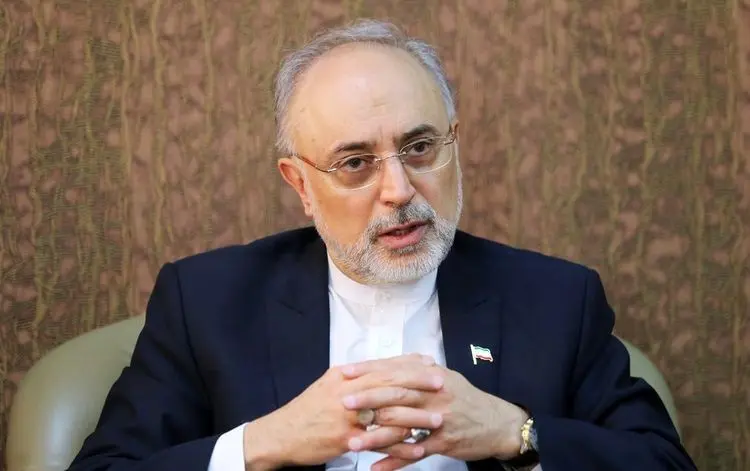صالحی: برجام در وضعیت شبه بن بست گرفتار شده است