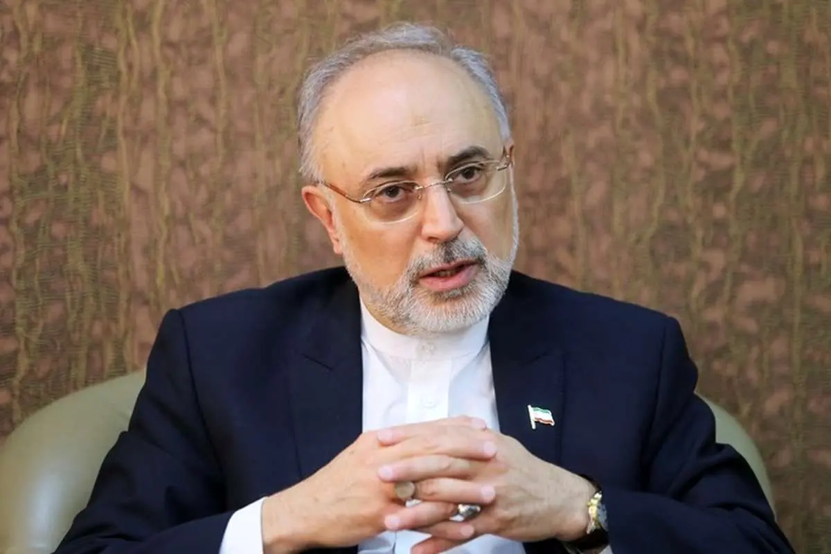 صالحی: برجام در وضعیت شبه بن بست گرفتار شده است