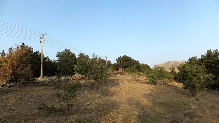 تأمین مسکن برای نزدیکان
