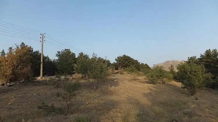 تأمین مسکن برای نزدیکان