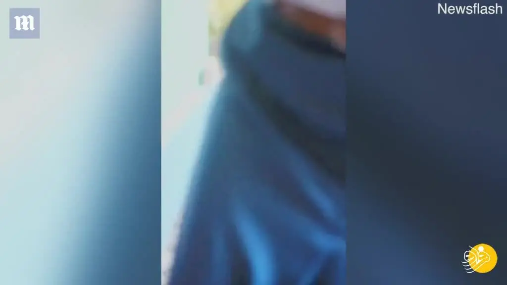 (ویدئو) عطسه یک دختر ۱۰ میلیون بازدیدکننده داشت!