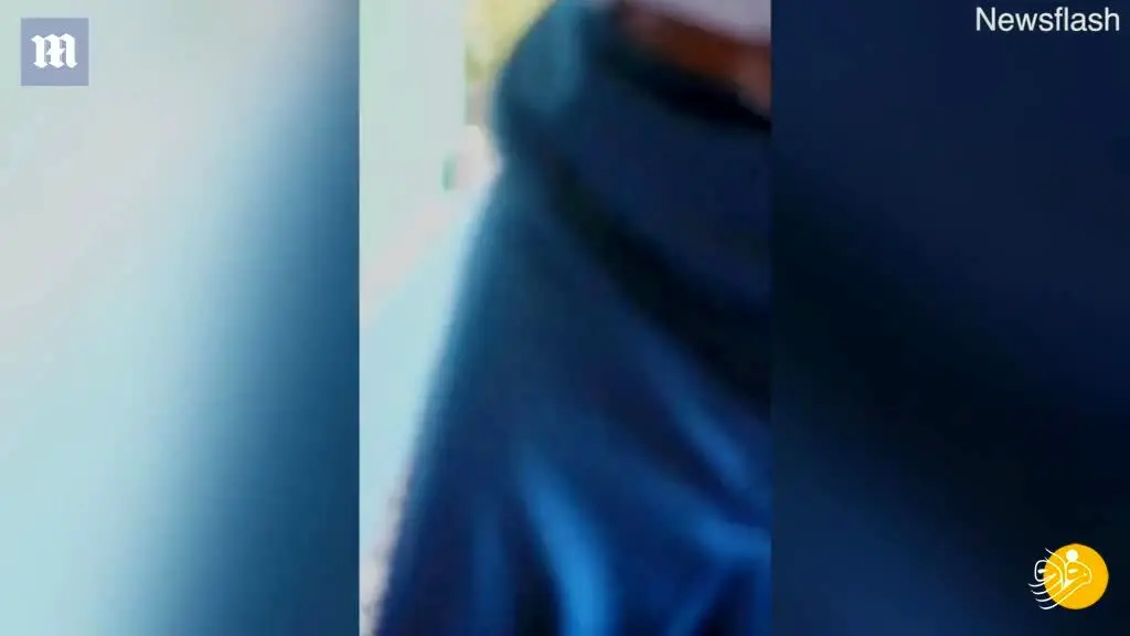 (ویدئو) عطسه یک دختر ۱۰ میلیون بازدیدکننده داشت!