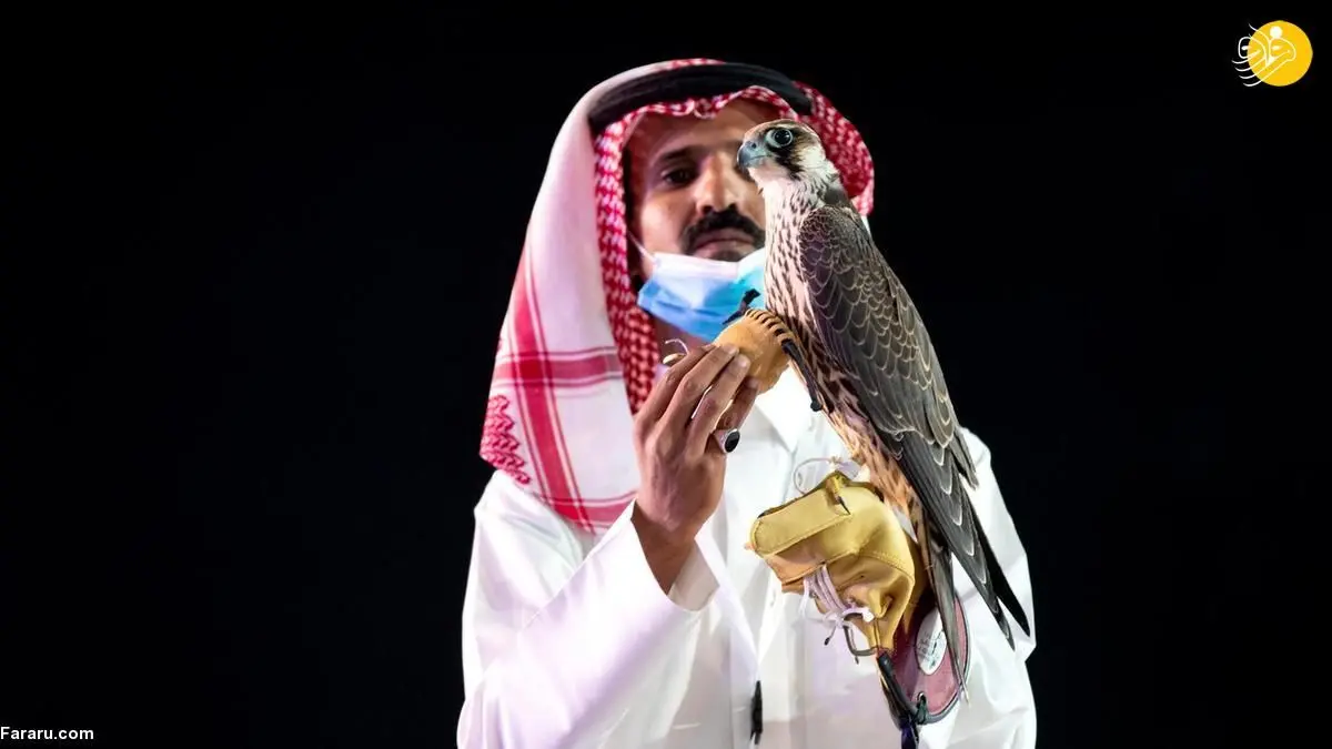 (عکس) فروش گرانترین شاهین شکاری در عربستان