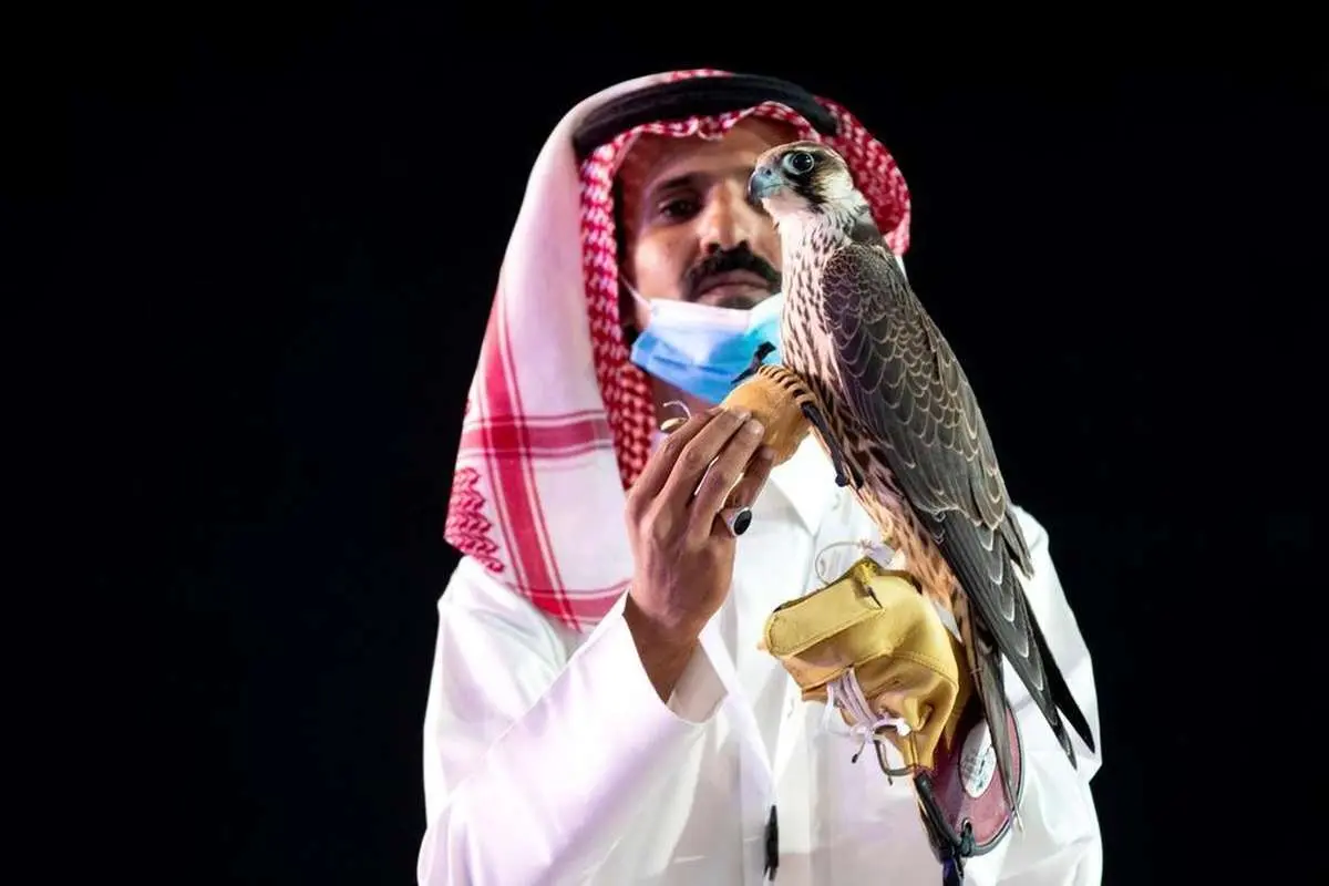 (عکس) فروش گرانترین شاهین شکاری در عربستان
