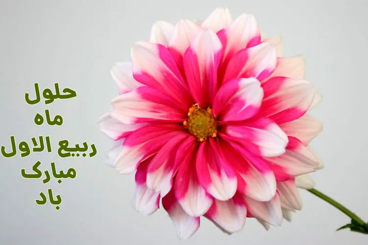 مهم‌ترین اعمال شب و روز اول ربیع الاول