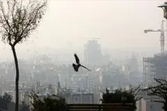 وضعیت آب و هوای تهران امروز شنبه ۱ آذر