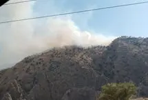 آتش سوزی در منطقه حفاظت شده دیل گچساران 
