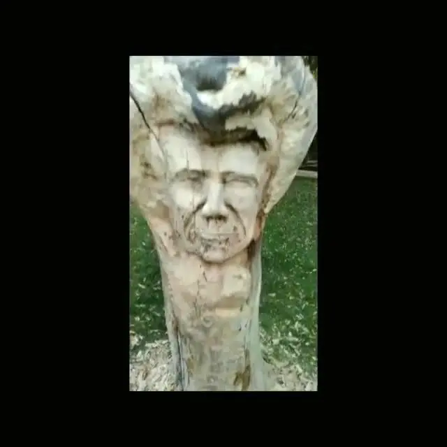 ویدیویی جدید از تندیس جنجالی شجریان در پارک ملت مشهد!