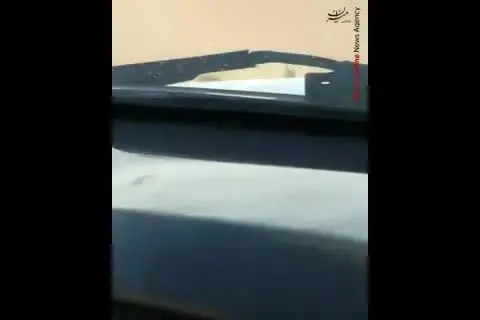 (ویدئو) تعقیب مرگبار بزکوهی توسط آفرودبازان در کویر مرنجاب