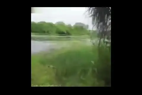 (ویدئو) لحظات وحشت‌بار در ساحل؛ ماهیگیری هولناک پدر و پسر!