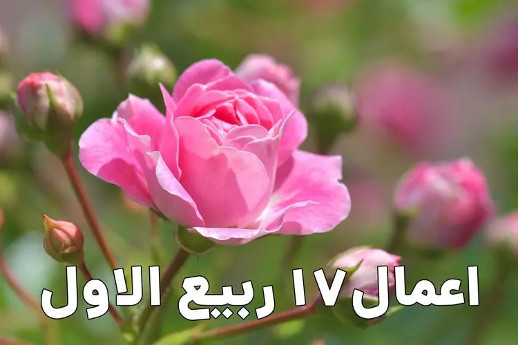 مهم‌ترین اعمال روز ۱۷ ربیع الاول؛ از نماز و روزه تا قرائت زیارت حضرت رسول اکرم