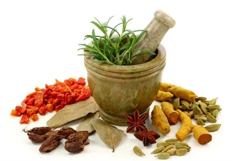 ۴ داروی گیاهی برای درمان کرونا مجوز گرفتند