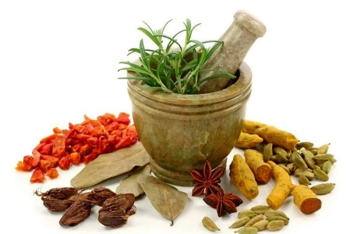 ۴ داروی گیاهی برای درمان کرونا مجوز گرفتند