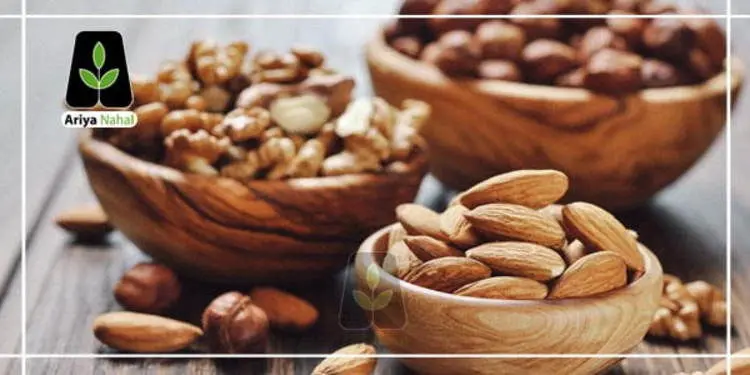 چرا از نهال گردو و نهال بادام به عنوان بهترین نهال ها یاد می شود؟