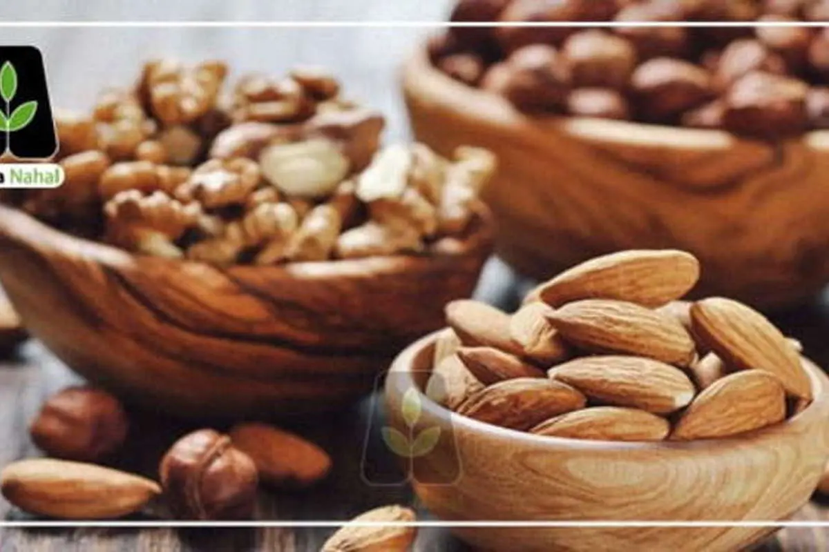 چرا از نهال گردو و نهال بادام به عنوان بهترین نهال ها یاد می شود؟