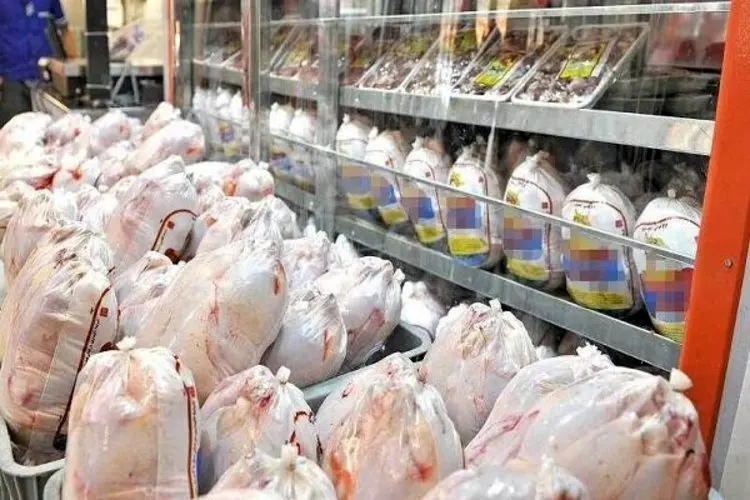 قیمت گوشت مرغ ارزان می شود؟