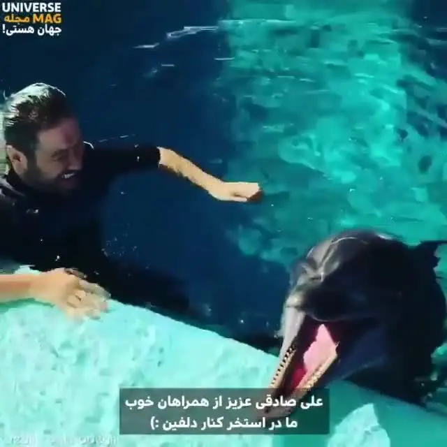 (ویدئو) تلاش علی صادقی برای تقلید صدای دلفین!