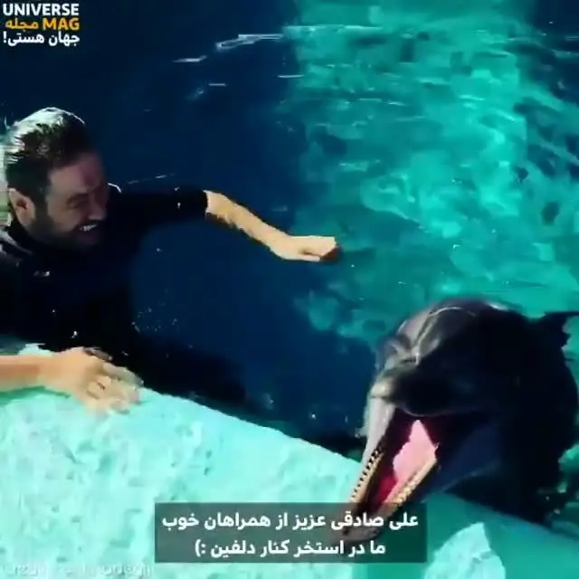 (ویدئو) تلاش علی صادقی برای تقلید صدای دلفین!