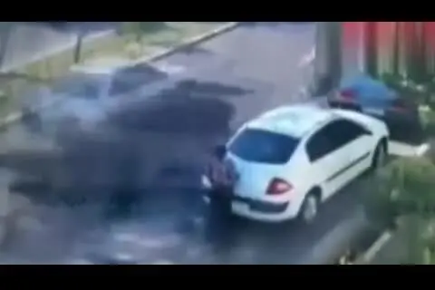(ویدئو) سرقت موبایل مامور پارک‌بان در کسری از ثانیه