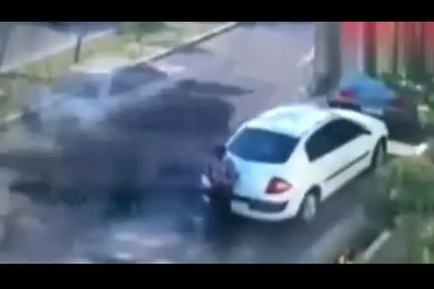 (ویدئو) سرقت موبایل مامور پارک‌بان در کسری از ثانیه