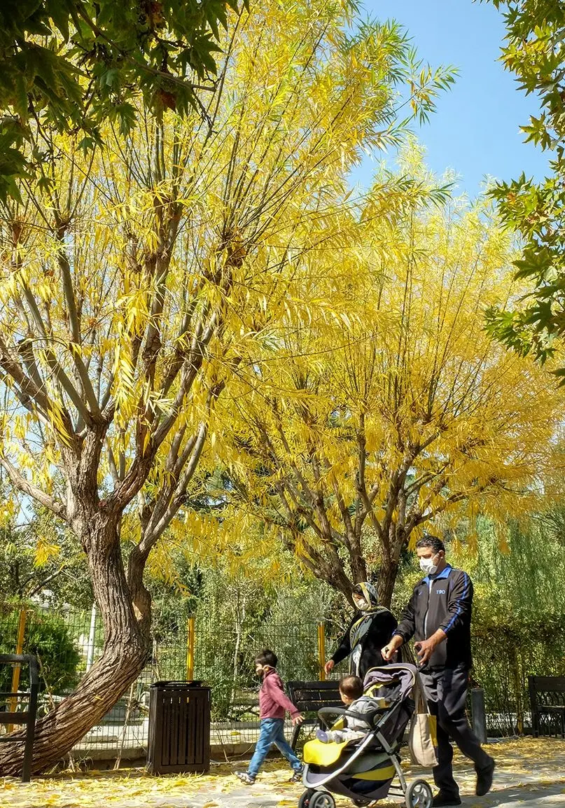 (تصاویر) تهران پاییزی