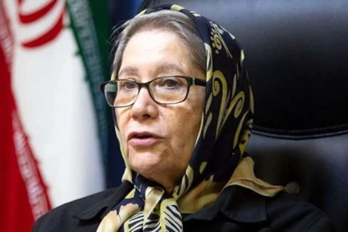 مینو محرز: رئیس جمهور دستور تعطیلی تهران را صادر کرده اما...