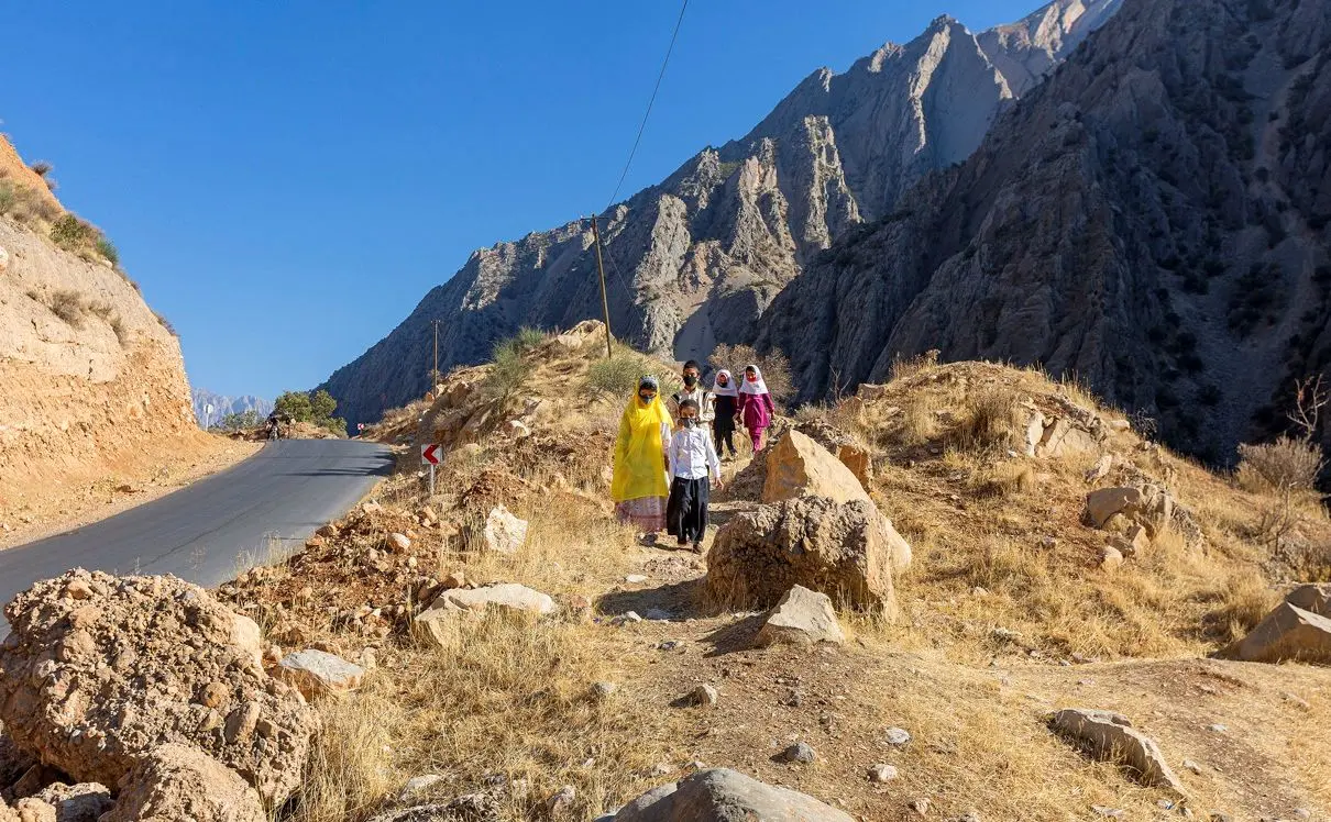 (تصاویر) شاد زیر درخت بلوط