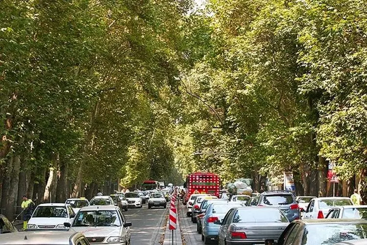 دوئل شهری در خیابان «ولیعصر»