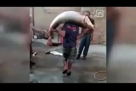 (ویدئو) عجیب‌ترین صید ماهی از رودخانه‌ای در ایران