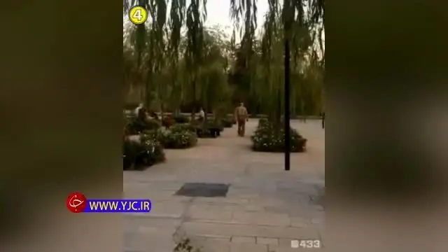 (عکس) پیرمرد معروف روپایی‌زن از دنیا رفت