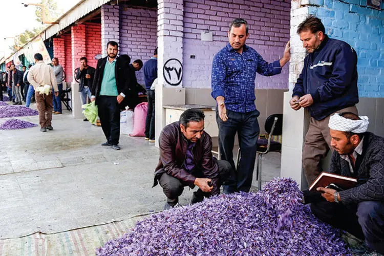 تجارت خیابانی گران‌ترین گل جهان!