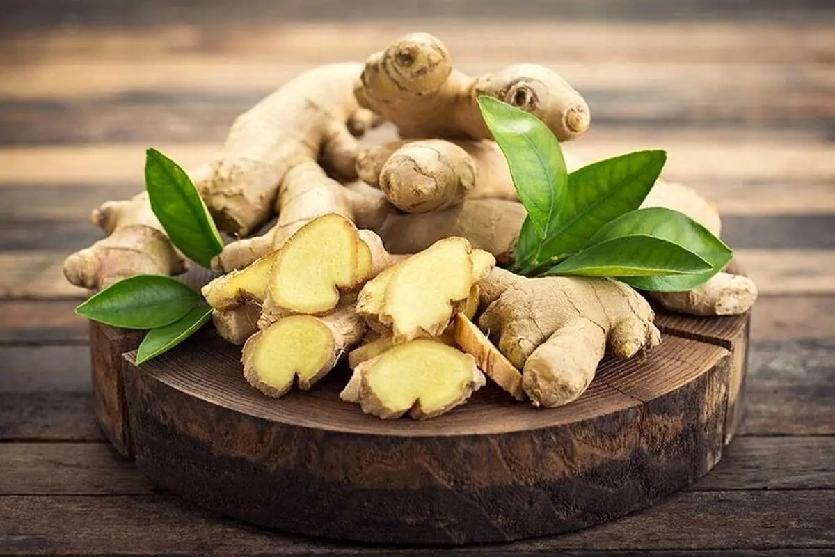 زنجبیل و خواص شگفتانگیز آن برای درمان، سلامتی و زیبایی